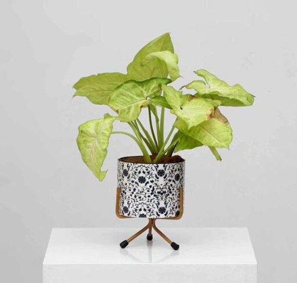 GREYFOX 10 inch Metal Planter Pot or Home & Garden ( WHITE Black Printed) Decor With just Wipe of a Clean Dry or Wet Cloth, It Gets Cleaned, Shiny and Even Neweration - Free Size, White Golden, Metal, White Black Printed, Pack of1